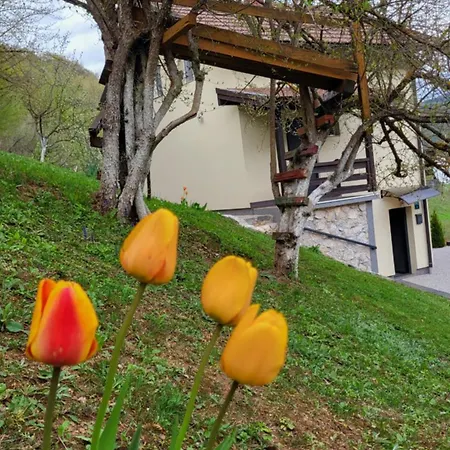 Villa Igmanski San Saraybosna