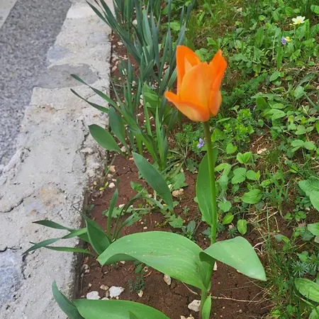 Igmanski San Sarajevo