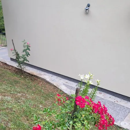 Igmanski San ヴィラ