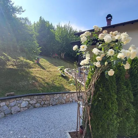 ヴィラ Igmanski San *