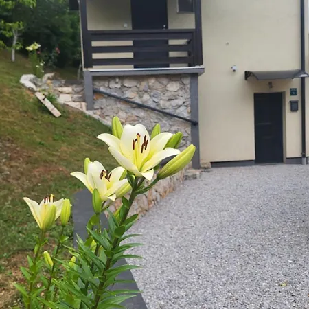 Igmanski San 别墅 塞拉耶佛